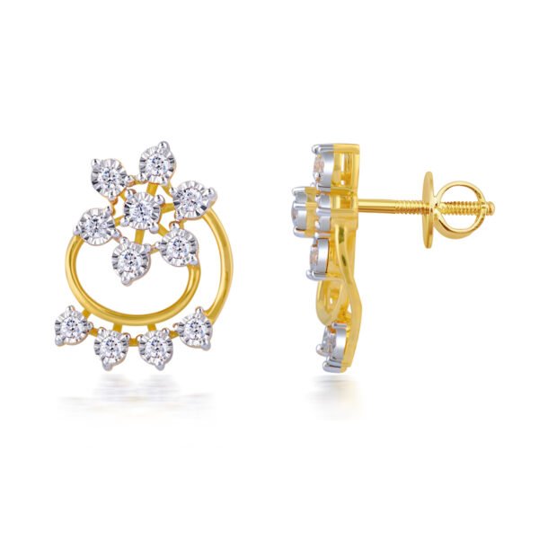 Stud Earrings -2112